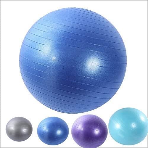 GYM BALL cice Ball Chair 65cm boule de yoga et de remise en forme avec ballon de stabiliteacute de base et affiche la seacuteanc1662