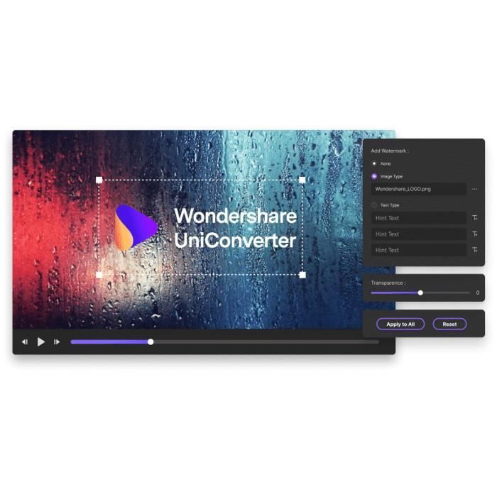 Wondershare uniconverter Valable a vie