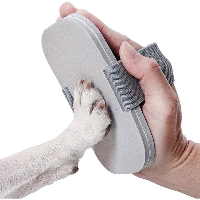 Lime à ongles lime pour chien lime pour chat tapis à griffer épais pour animaux de compagnie (gris taille unique)
