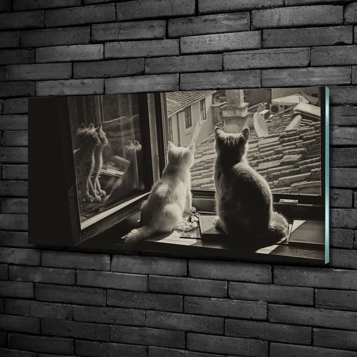 Tulup 100x50cm Tableau Sur Verre De Securite Animaux Chats Par La Fenetre Noir Blanc Cdiscount Maison