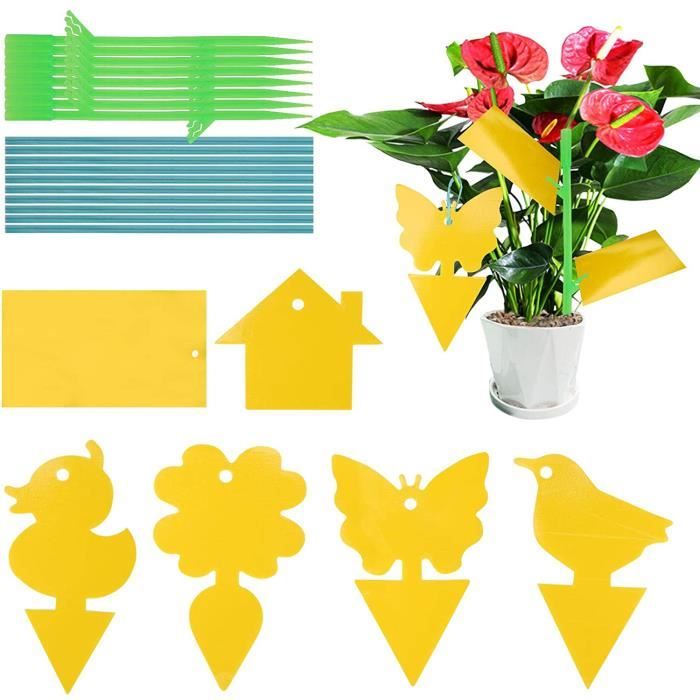Pièges à Mouches Des Fruits Jaunes Autocollants - Lot De 10 - Forme Papillon - Pour Plantes D'intérieur Et Jardin - Écologique - 5