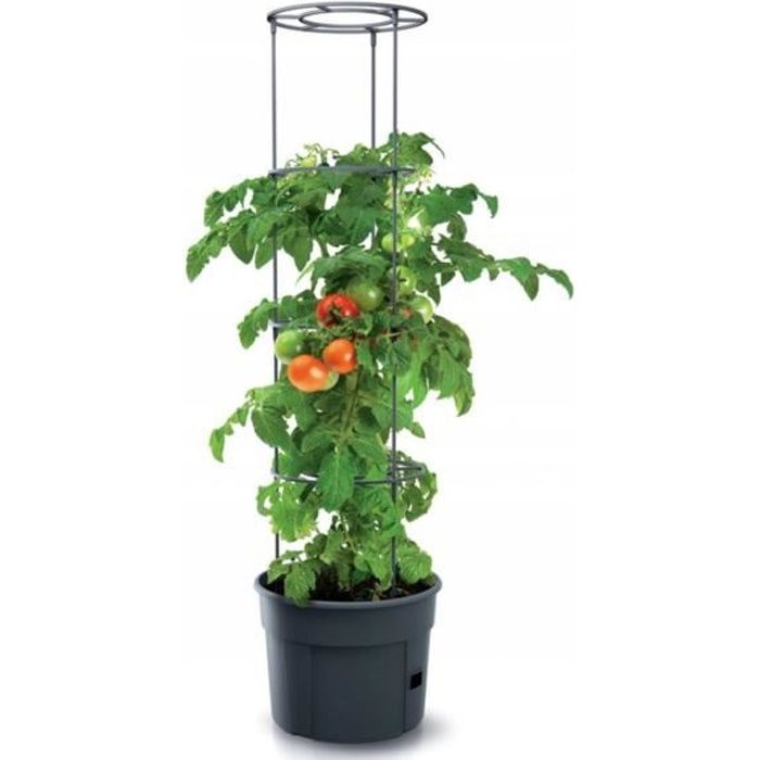Pot pour pied de tomates 28L Tomato Grower IPOM400-S433