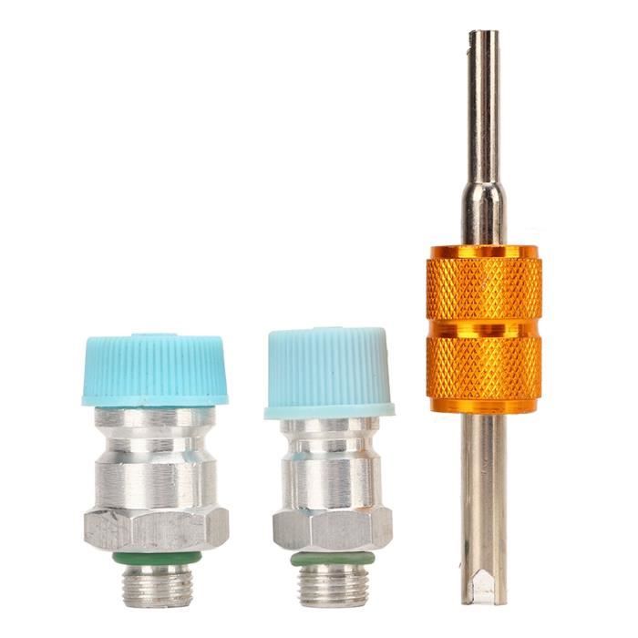 SG Store Lot De 10 Bouchons De Valve De Rechange Compatibles Avec Les Systèmes De Climatisation R134a AC - Capuchons De Port De Charge ABS Noir