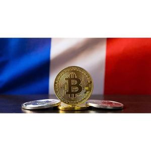 Plaqué Or Bitcoin onnaie de Collection Art Collection Cadeau onnaie d