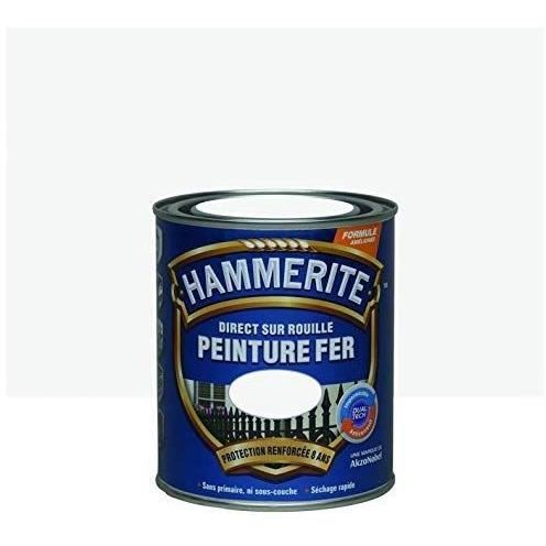 Peinture Hammerite Martele