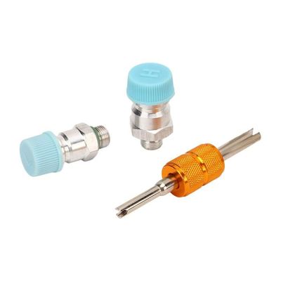Bouchons De Climatisation De Voiture, 10pcs Capuchon De Service De Climatisation Universel Couvercle Du Port De Charge De Réfrigérant Réparation A/C