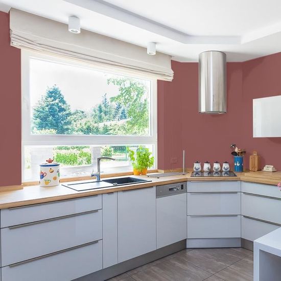 Ripolin Peinture De Renovation Speciale Cuisine Bain Bordeaux Satin 0 75l Achat Vente Peinture Vernis Peinture Bordeaux Satin 0 75 L Cdiscount