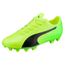 foot puma