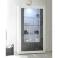 Vitrine 2 portes
