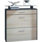 Vladon Meuble à chaussure Malea 89 x 96 x 23 cm, Corps en anthracite mat - façades en Chêne brut