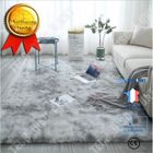 INNOVTEC Tapis - Non spécifié - 120x160CM - Antidérapant - Doux - Résistant aux taches