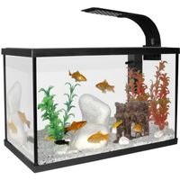 Aquarium Scalaire 40 Noir 20l + Eclairage Offert