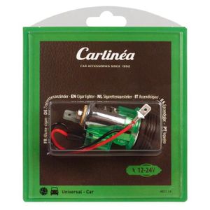 Allume-cigare 12V Vert Lumineux Pour Voiture - Universel, éclairage Auto Pratique