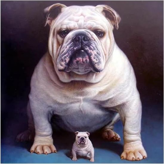 Kit Peinture Diamant Saint Bernard - Diamants Ronds 5D, Toile 30x40 Cm, Art Mosaïque DIY Pour Débutants, Déco Maison
