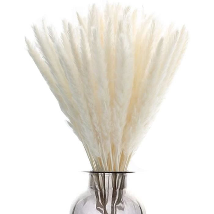 Fleurs séchées UMYMAYDO1 Herbe de la pampa séchée - Lot de 30 bouquets de fleurs naturelles séchées 94