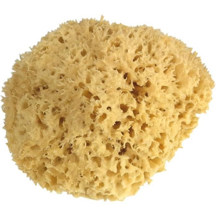 Eponge de mer pour le bain