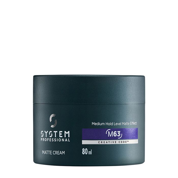 SYSTEM PROFESSIONAL