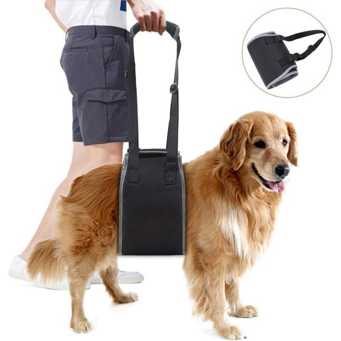 Harnais de Soutien pour Chien Âgé Ceinture de Levage pour Chiens Handicapés Noir Aide à Monter et Descendre