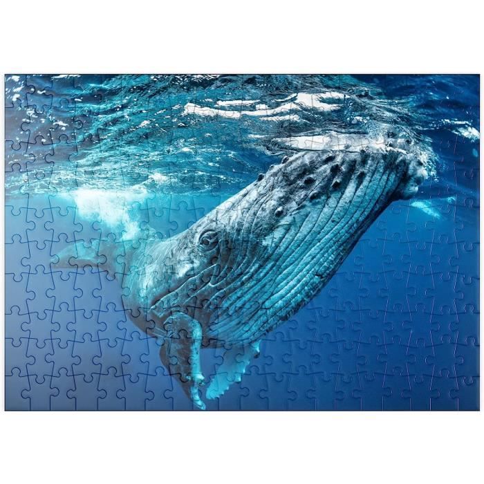 MyPuzzle Tiere Des Regenwaldes – 100 Teile Premium-Puzzle, 48x34 Cm, Für Kinder Ab 6, Klimakompensiert Produziert