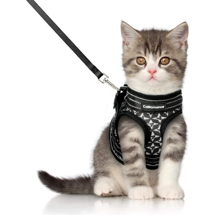 Harnais Pour Chat Anti-évasion Avec Laisse - Ajustable, Réfléchissant Et Respirant - Taille M Noir