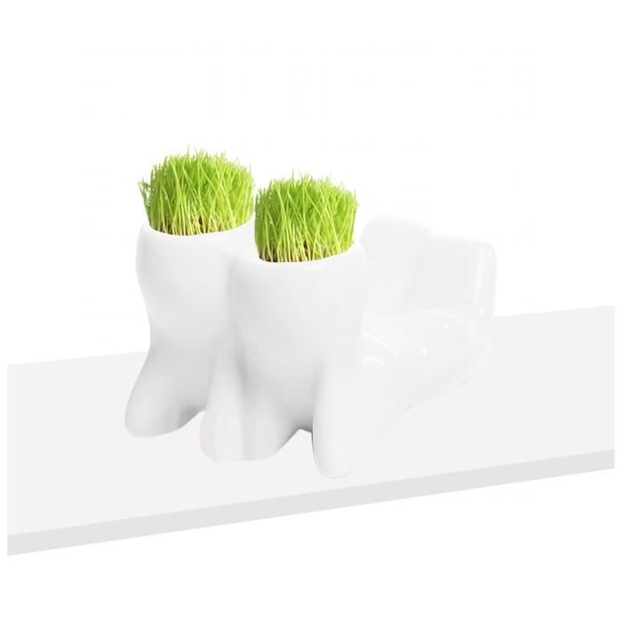 Poupée Tête D'herbe Mini Bonsaï - Plante à Faire Pousser, Kit Jardinage Enfant, Déco Bureau