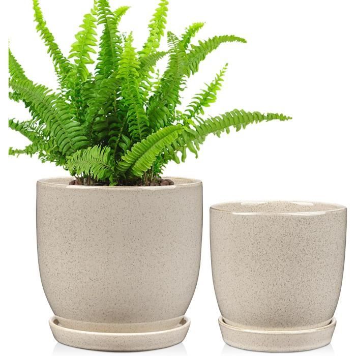 Mousse Artificielle 50g x 2 pour Décoration Jardin - Aspect Naturel et Sans Entretien - Lytech - Gamm vert Mousse Artificielle 50g x 2 pour Décoration Jardin - Aspect Naturel et Sans Entretien - Lytech - Gamm vert