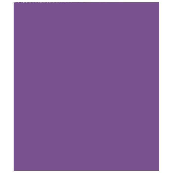 Rouleau papier kraft 3x0.70m violet