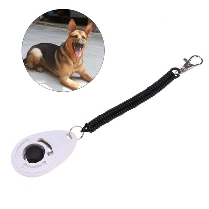 Clicker Pour Chien Avec Poignets Et Boutons Outils Dentraînement Efficaces Pour Votre Chien Ou Votre Chiot Blanc