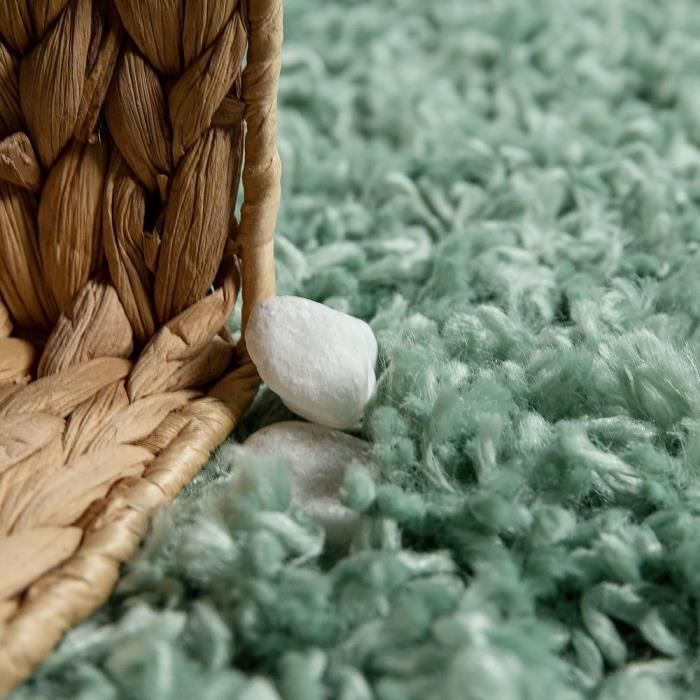 Tapis Moelleux Moderne, Tapis Super Doux, Lavable, Adapté Au Salon Et à La Chambre à Coucher