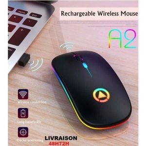 Mini Petite Souris Sans Fil Pour Voyage Optique Portable Mini Souris Sans Fil Avec Récepteur Usb Pour Ordinateur Portable Pc