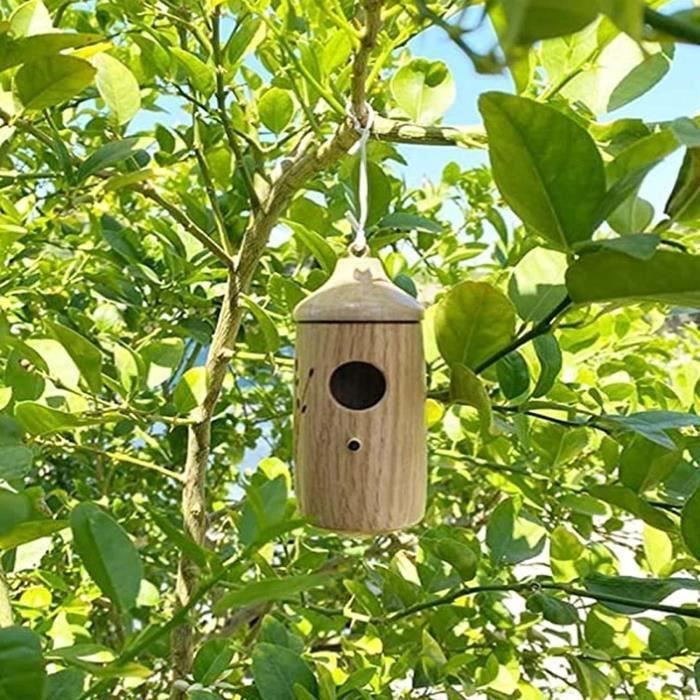 Maison pour colibris - Maison pour colibris en bois à suspendre à l' extérieur, Maisons pour colibris pour l'extérieur pour - Cdiscount  Animalerie