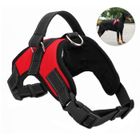 PETACC Harnais chien Réglable avec poignée, rouge, M
