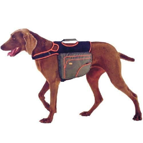 Sac à dos ergonomique pour chiens