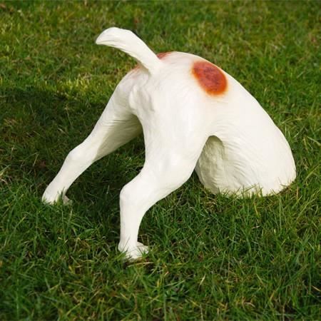 Fox le terrier