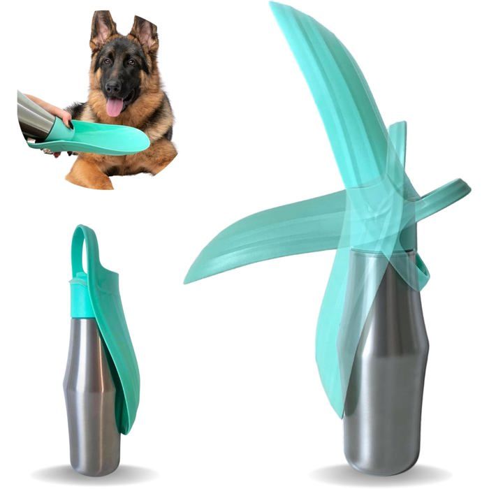 Gourde de promenade pour chien - ULISEM - 750ML - Acier inoxydable - Isotherme 24h - Anti-fuite