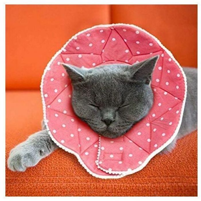 Collerette post-chirurgie confortable imperméable avec attache ajustable pour animaux