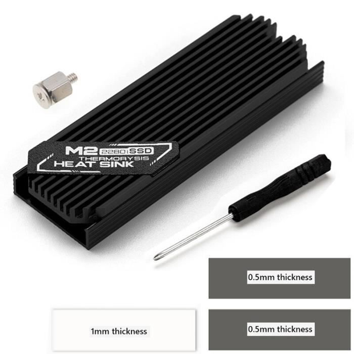 Dissipateur Cuivre M.2 SSD Avec Pad Thermique - Refroidissement Haute Performance DolDer