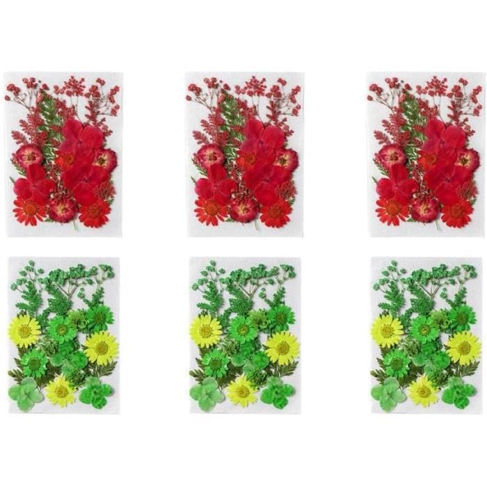 Fleurs Pressées Naturelles Blanches - Lot De 66 Pièces - Pour Création Résine, Bijoux, Scrapbooking, Nail Art