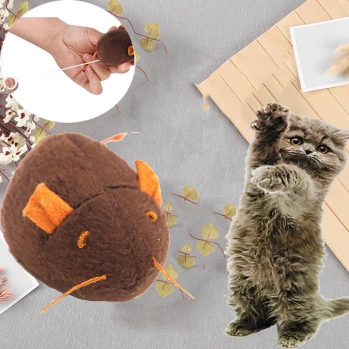 Jouet Pour Chat Vibrant Petite Grosse Souris En Peluche Jouet Vocal Pour Chat Jouet Interactif Pour Chat Lcx053 Lucypllo Cdiscount