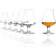 Stölzle Lausitz Whisky The Nez Verre 194 ML, Set De 6 Whisky Verres, Lavable Premium Qualité Coupe Verre-0