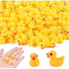 100 Mini Canards Phosphorescents – Résine, Numérotables – Jeux De Cache-cache, Déco, Farces – Dès 3 Ans