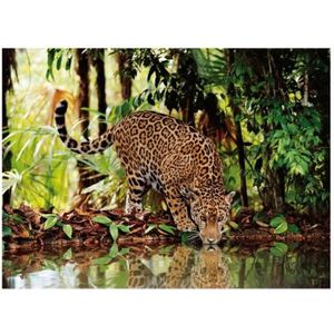 PUZZLE Puzzle Adulte - Le Leopard Dans La Jungle - 2000 P