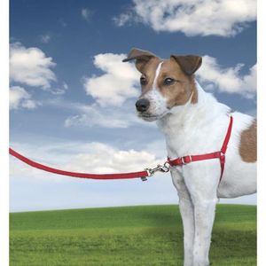 XL Anti-Traction avec 4 Points de R/églage pour Un Confort Maximal PetSafe - R/ésistant Harnais pour Tr/ès Grand Chien Easy Walk Rouge