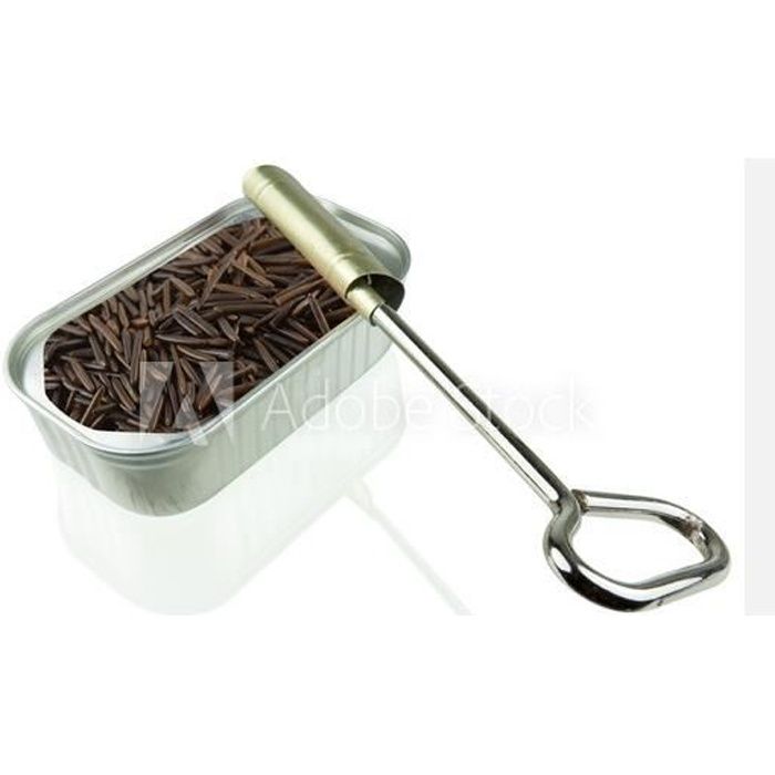Clé à sardine
