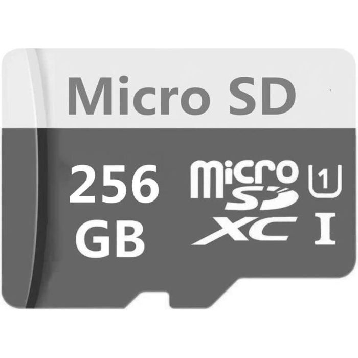 Carte Micro SD 256 Go - 400 Go - 512 Go - 1024 Go Carte m&eacutemoire Flash TF Classe 10 Carte Micro SDHC avec Adaptateur (256g329