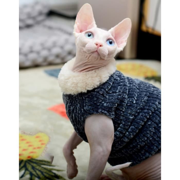 Manteau Blouson,Chat vêtements pull fait main vison laine gilet chaud automne hiver sans cheveux chat Sphinx chat - Type Black-M