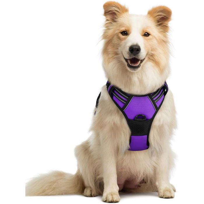 Meilleurs prix pour Harnais Chien M Arnais Violet Anti Traction Réfléchissant Gilet Réglable pour Chien Grand Taille, Attache Devant Crochet de Laisse