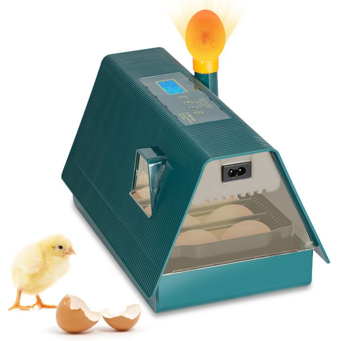 Meilleurs prix pour Ikodm Couveuse Oeuf Automatique 10 Oeufs Incubateur Couveuse Kit complet pour COUVEUSE - INCUBATEUR