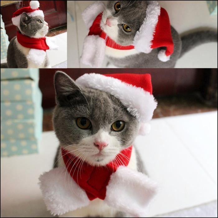 Chat Chapeau De Noel Avec Silencieux Chiot Chapeau De Pere Noel Rouge Ztip4 Cdiscount