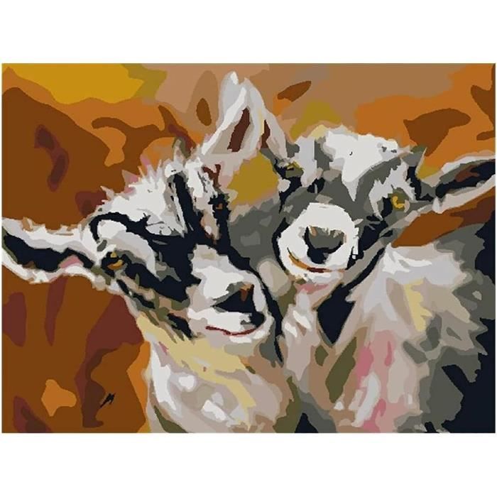 XCLTLSM peinture numero adulte disney,animal mignon, rainette,Kit de  Bricolage Peinture à l'huile sur Toile avec Acrylique et Pinceaux,40x50cm
